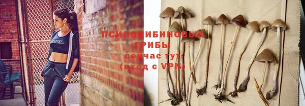 apvp Белоозёрский